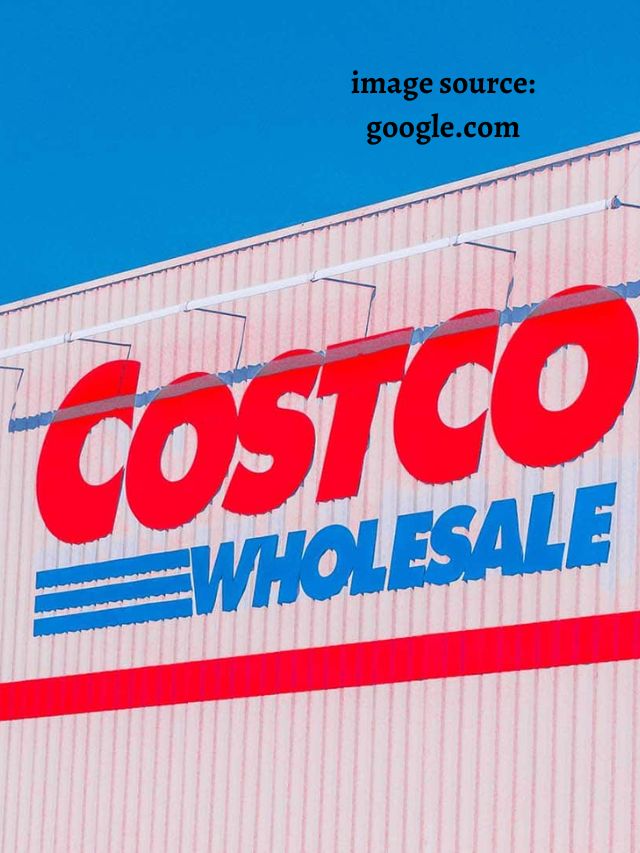 10 New Products at Costco in November
